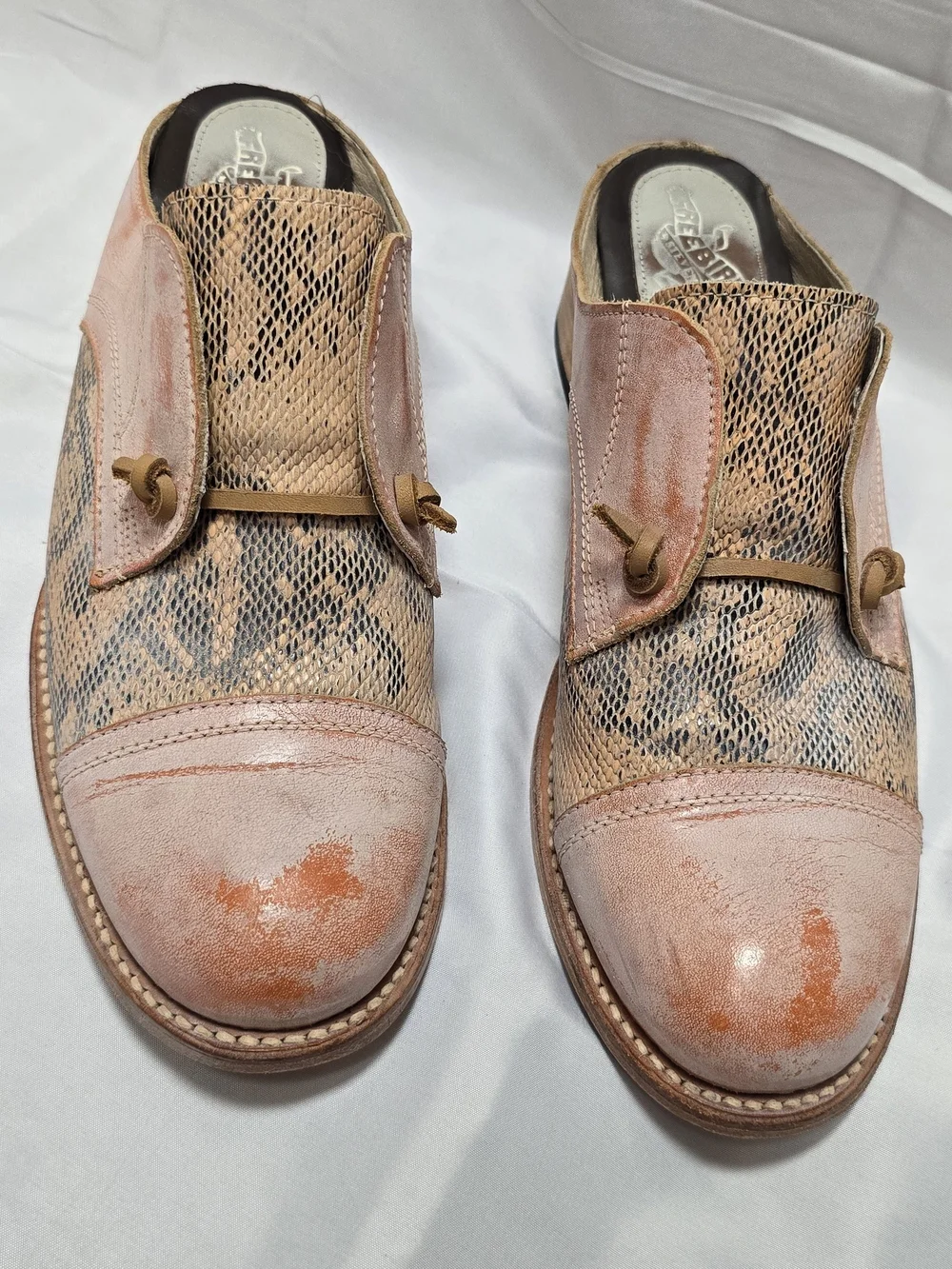 Freebird by Steven Mallena Leather Snake Print Shoes Size 11